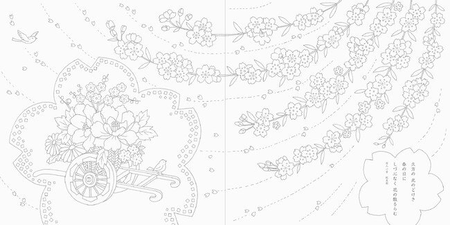 d12505-959-5fac9251be377ad1f38a-2.jpg&s3=12505-959-6b718bbd595316d8f0ee56f04632ca17-2500x1250.jpg