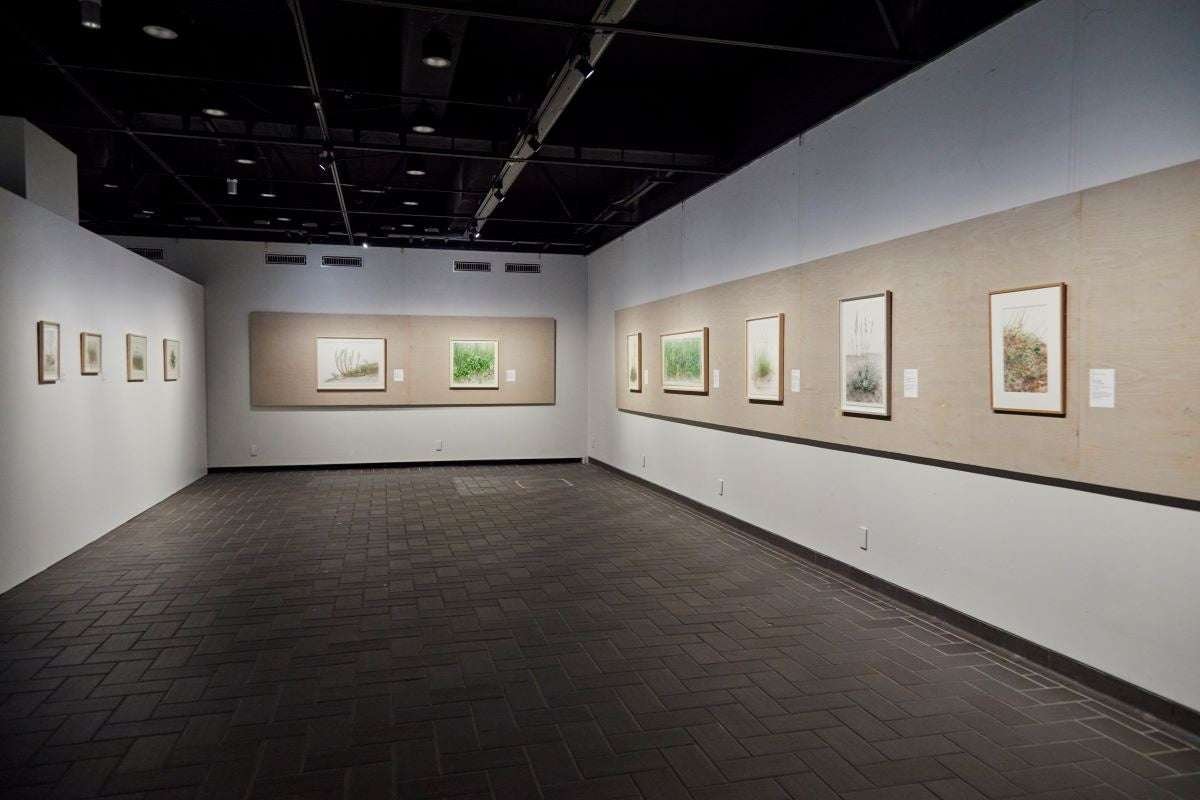 Mitsuko Kurashina's Exhibit