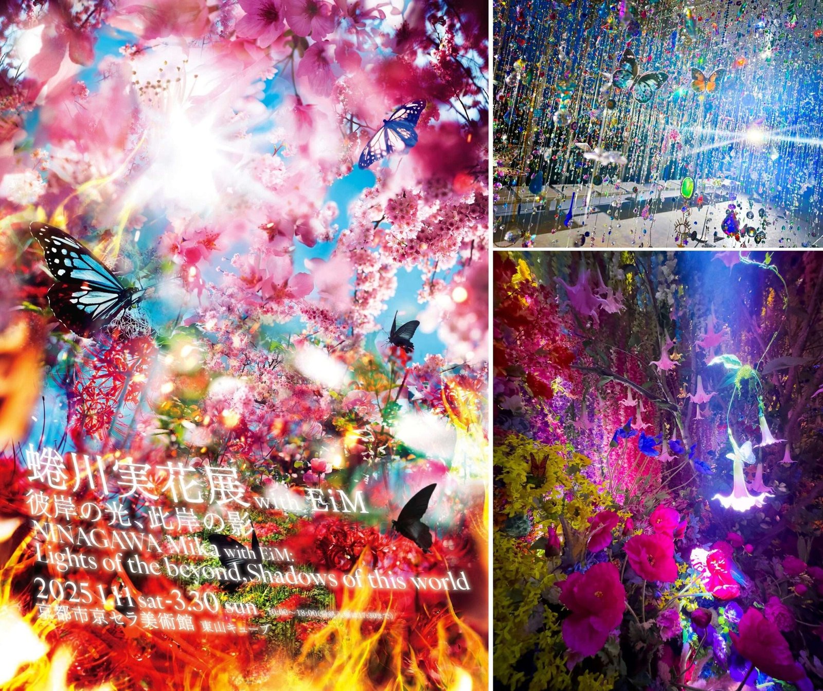 Mika Ninagawa Exhibition with EiM: Light on the Equinox, Shadow on this Shore Executive Committee Mika Ninagawa Exhibition, Kansai’s Largest Exhibition Ever An installation of a picture scroll experience set at the Kyocera Museum of Art in Kyoto Ci