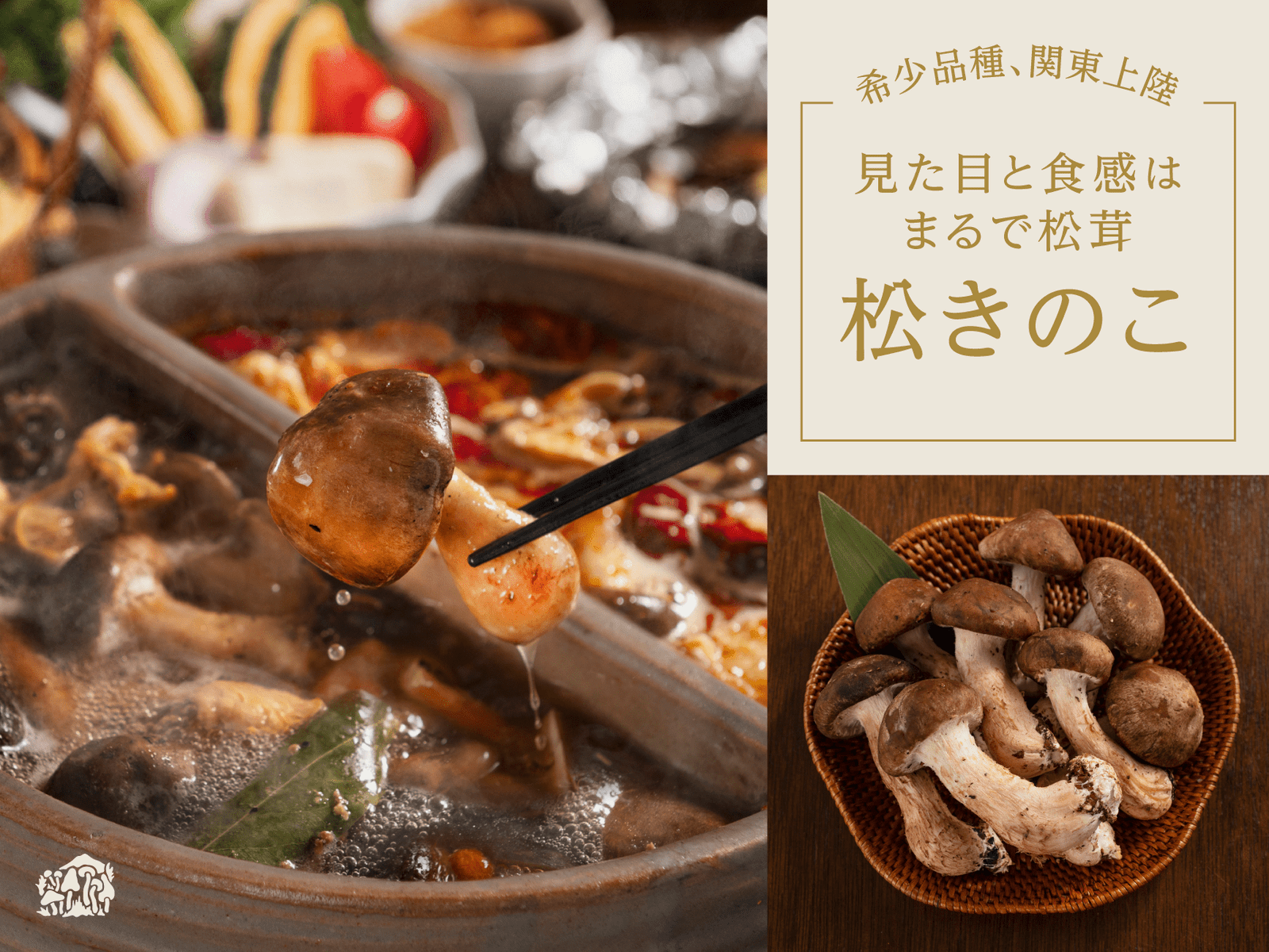 October 15th is “Mushroom Day” “Phantom pine mushroom and free-range chicken hot pot course” will be a vailable for a limited time from October 15th, where you can fully enjoy “pine mushrooms” that are rarely distribute d in the Kanto region.