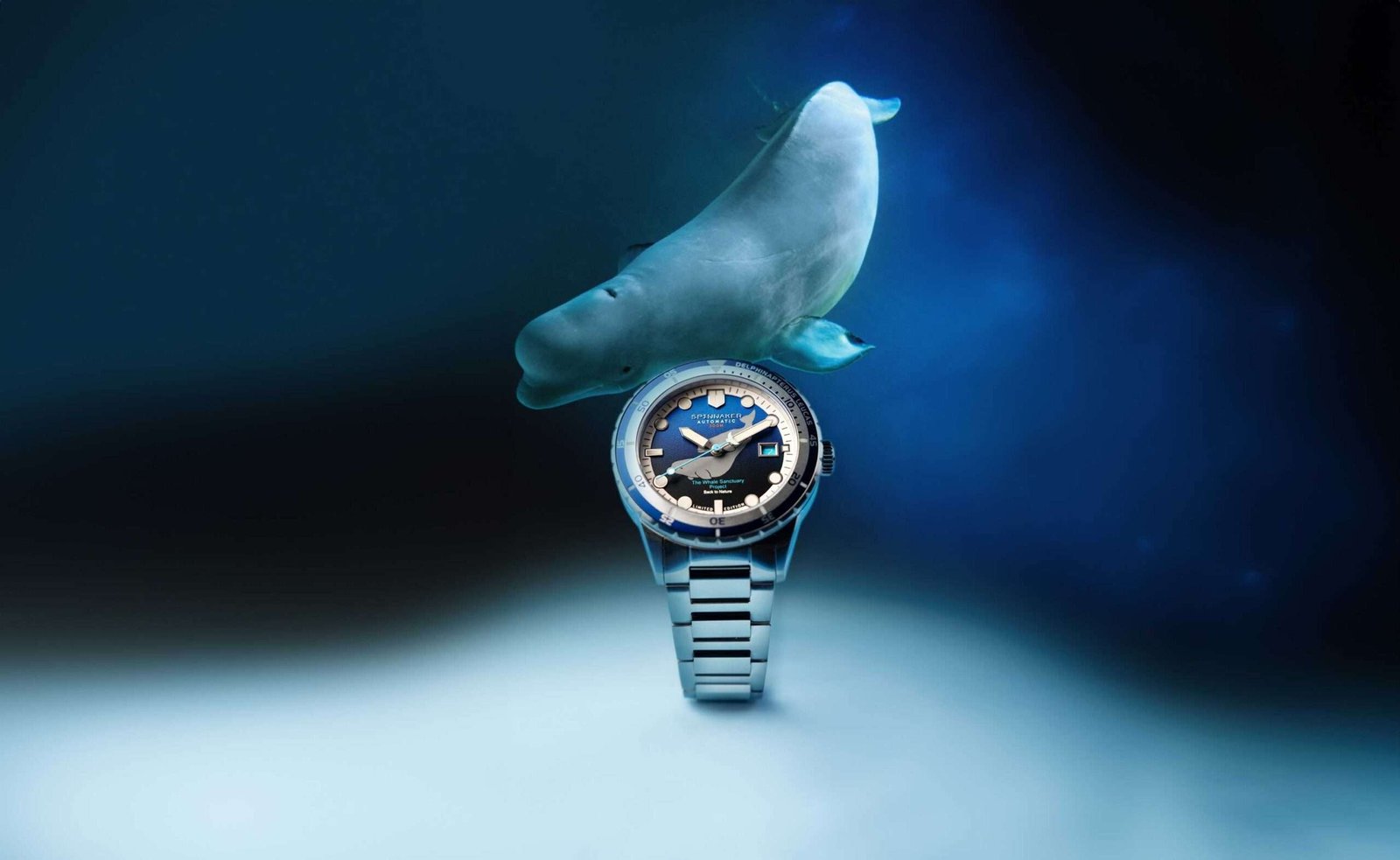 “SPINNAKER” releases “HASS AUTOMATIC WHALE SANCTUARY PROJECT SECOND EDITION”, a wristwatch aimed at marine protection.