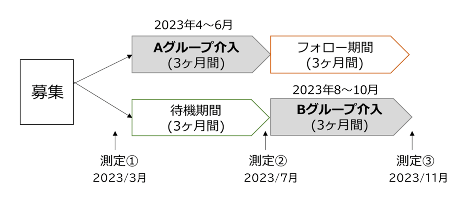 ◆Toward prevention and improvement of frailty◆Announcing the final results of research using the smartphone  app “Balance Diary ~10 Food Group Checks~”!