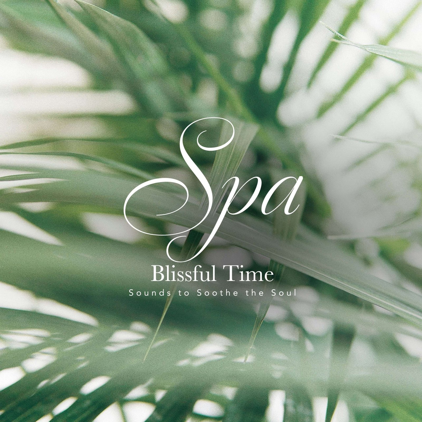 CROIX Co., Ltd. Spa music for a “beautiful sleep” | Enjoy a peaceful night with CROIX HEALING’s new “SPA Blissful Time”