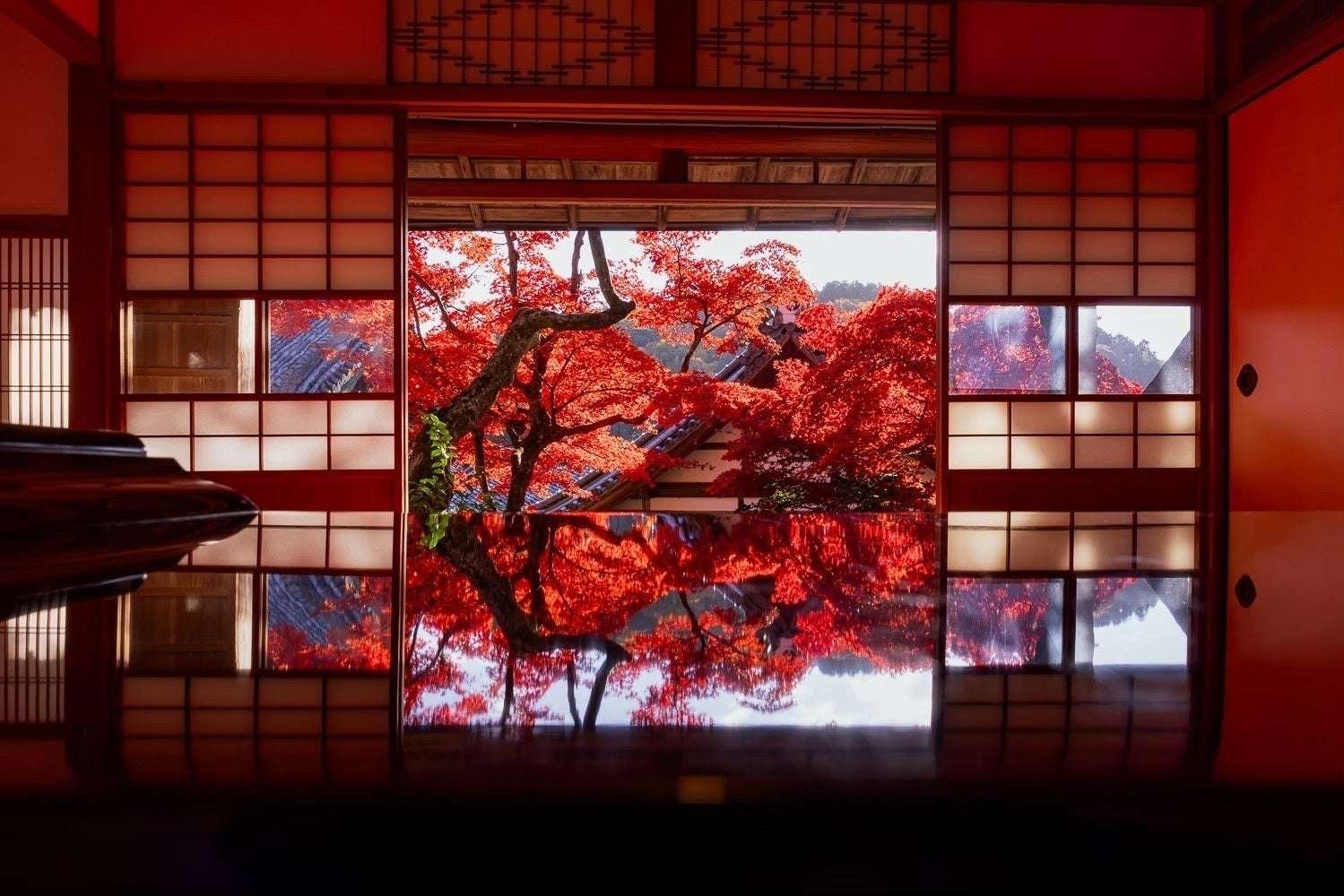 Yanagidani Kannon Yokokuji Temple Spectacular autumn scenery! Yanagidani Kannon Yokokuji Temple “Autumn Leaves Week 2025” to be held ~Special opening of Kamishoin Hall~