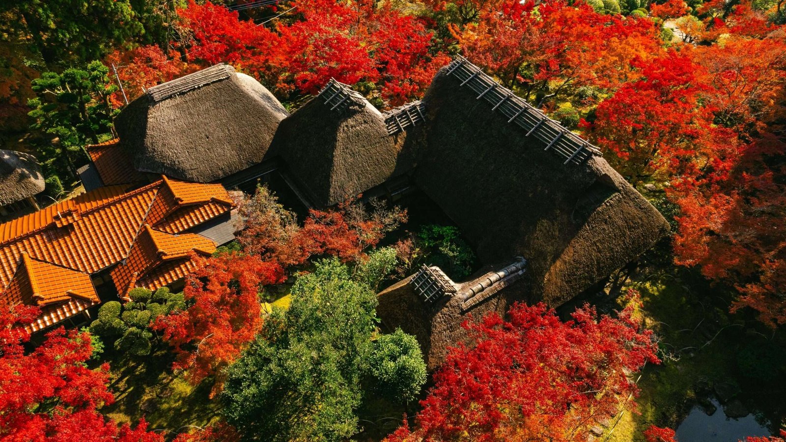Saga Prefecture Saga Prefecture “Inherited beauty. Autumn passed down through the ages.” National Place  of Scenic Beauty “Kunen-an” to be Open to the Public in Autumn