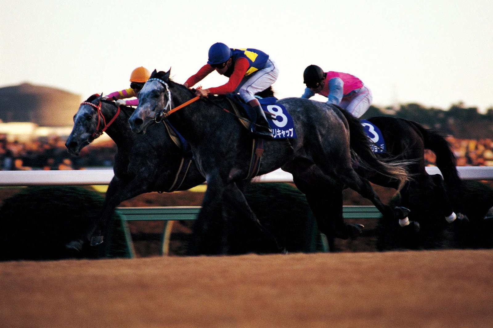 Recommended by jockey Yutaka Take! Now in the Reiwa era, the bible for Oguri Cap fans is back as a reprint! Pre-orders are now open for “White Time: Reprint Edition: The 20 Years Since the Retirement of the Famous Horse Oguri Cap”!