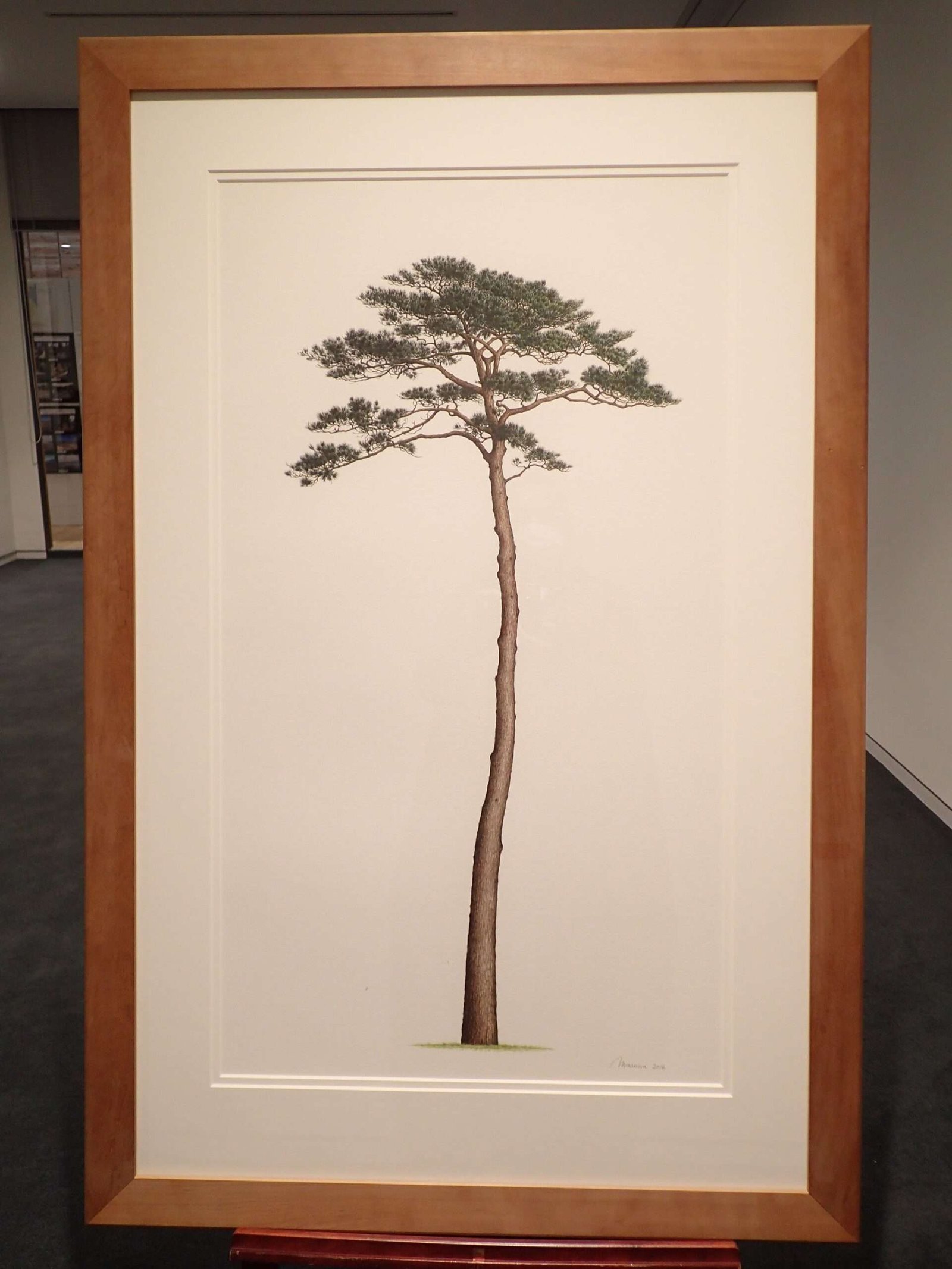 Botanical art experience class and lecture held at Rikuzentakata City Museum