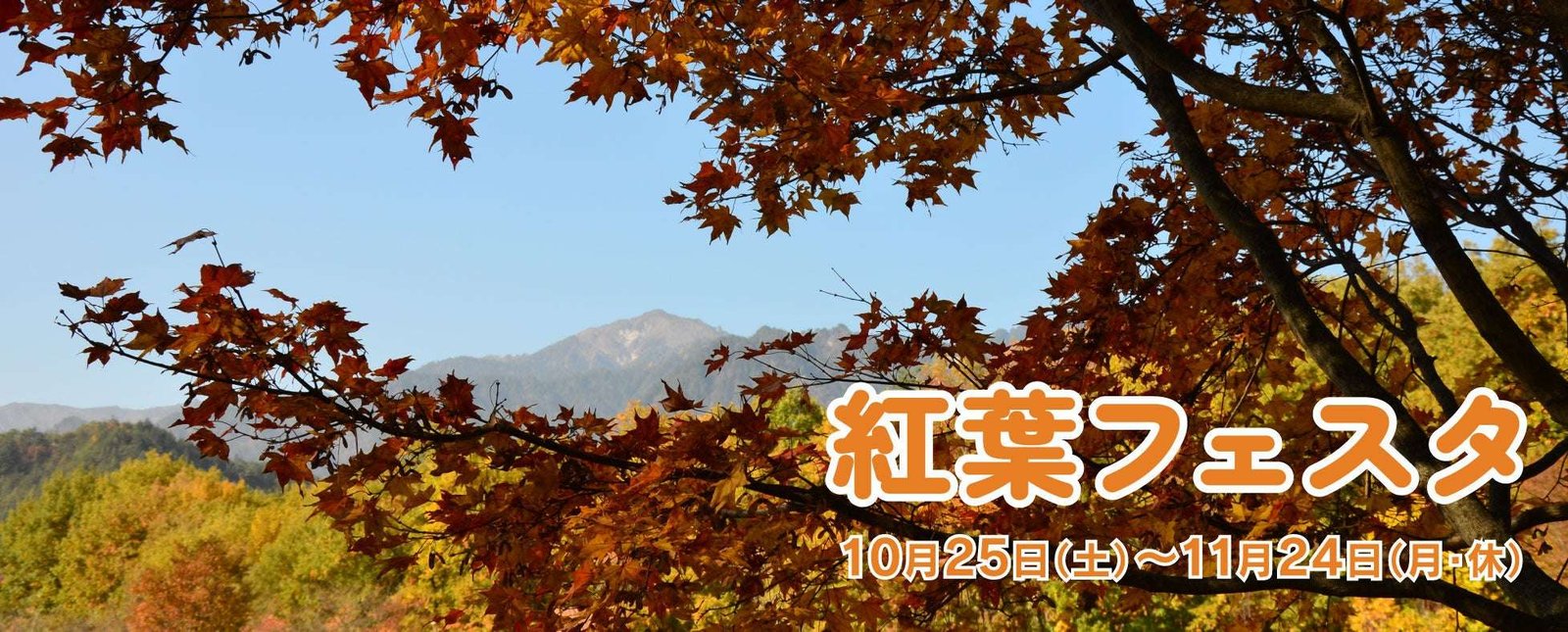 See, craft, and play in the autumn at the “Autumn Leaves Festival” held at Alps Azumino National Government Park (Omachi/Matsukawa area)