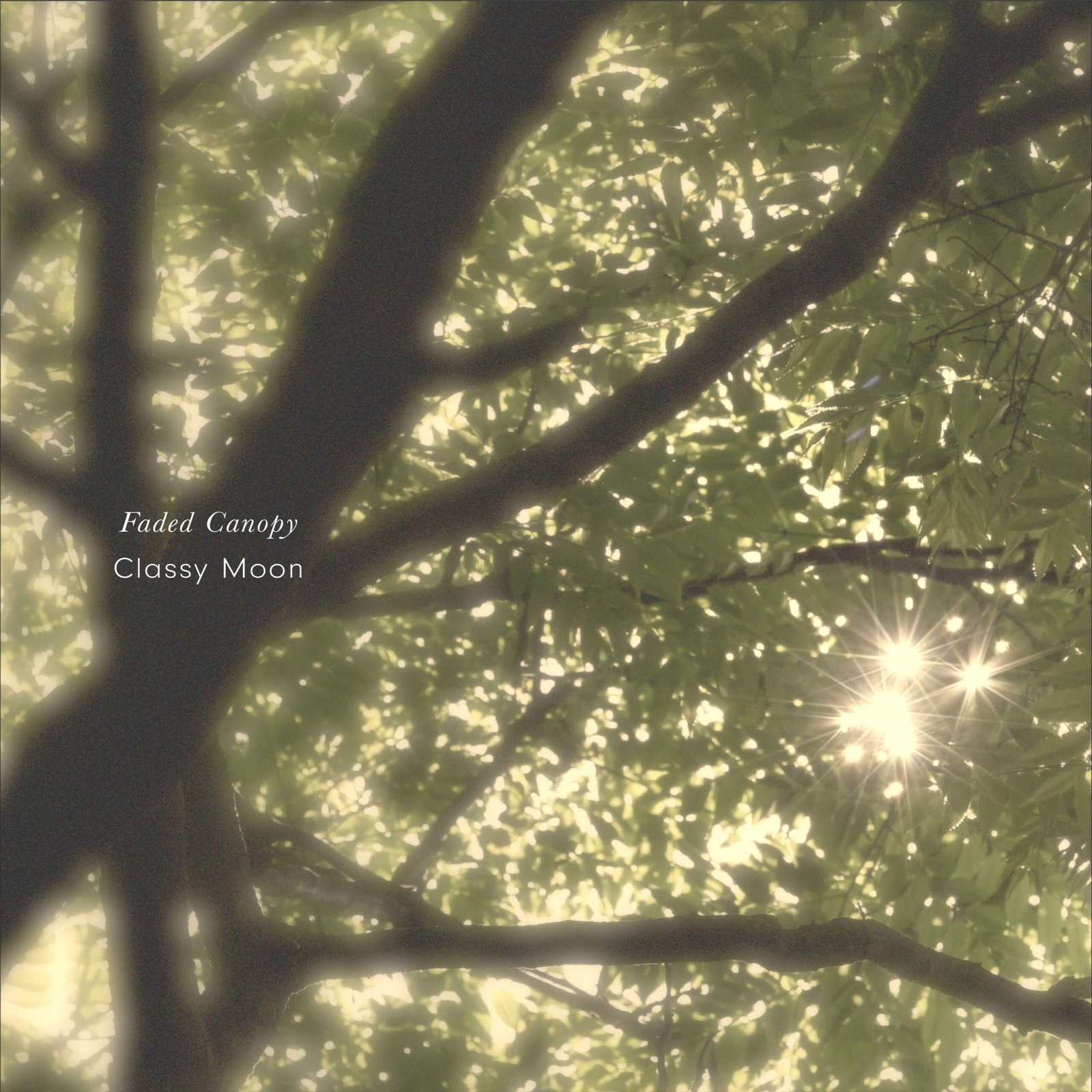 Croix Inc. “Faded Canopy” – The silence of the forest gently stops your thoughts. A night where the sounds gently turn off your mind.
